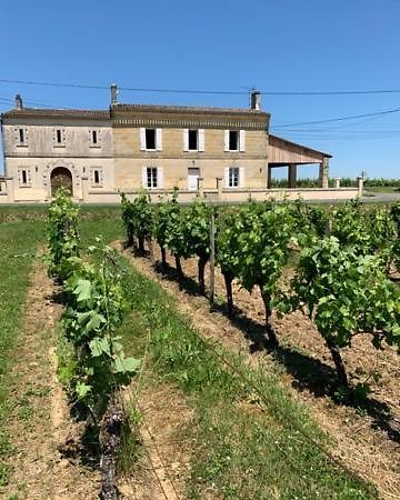 Gîte du Château La Rose des Vents Puisseguin Exterior foto