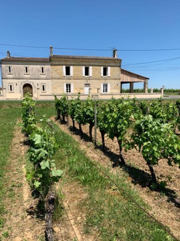 Gîte du Château La Rose des Vents Puisseguin Exterior foto